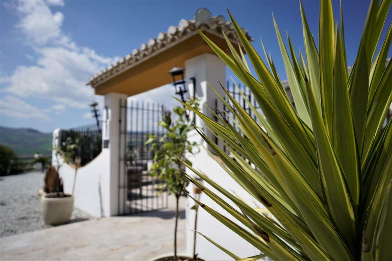 El Amparo Bed and Breakfast Alhama de Granada Exteriör bild